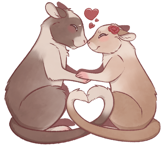 Lovegerbs Lovegerbs