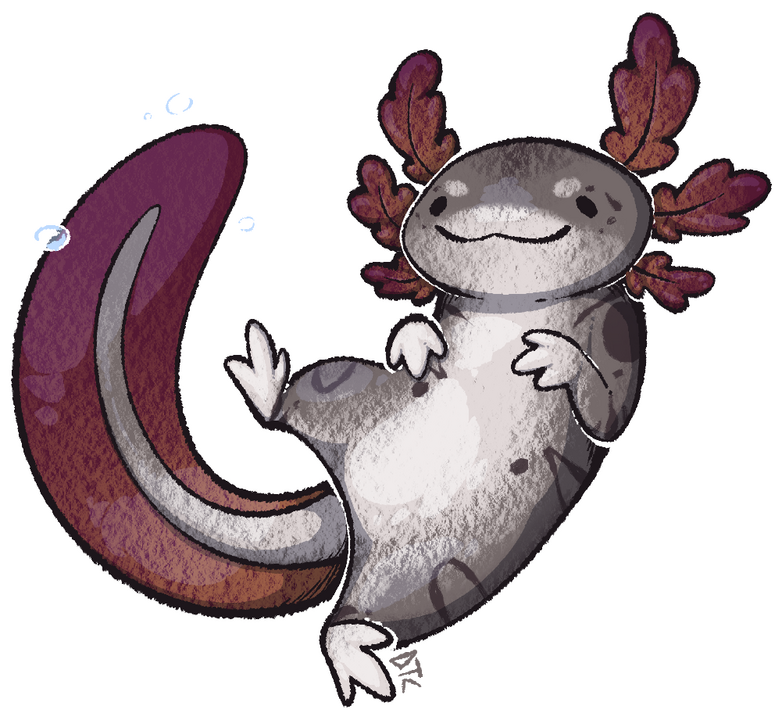 Axolotl Axolotl