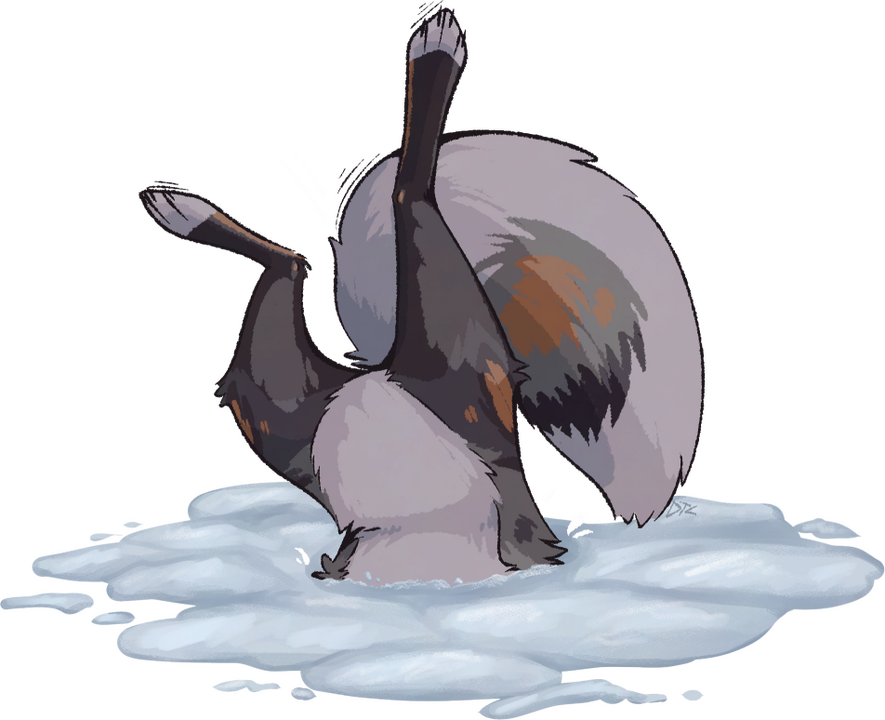 Snow Snow