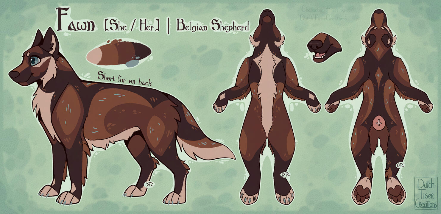 Ref - Fawn