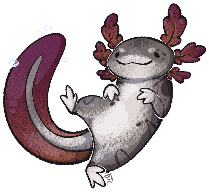 Axolotl