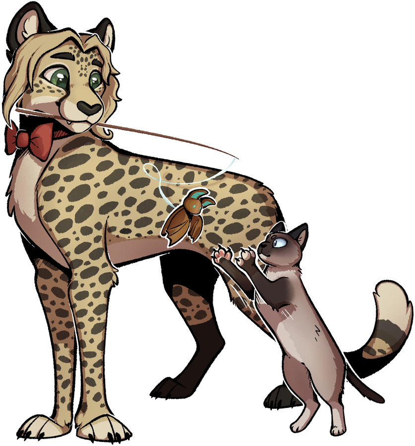 Zets (kofi)