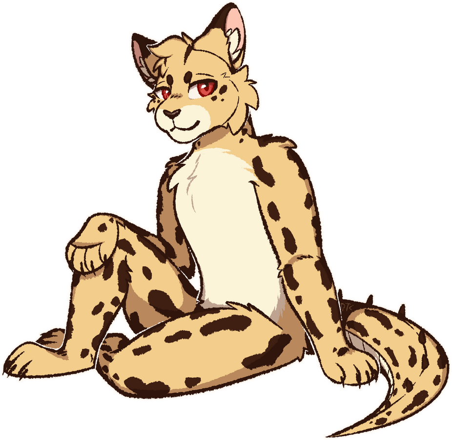Faycap (kofi)